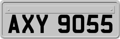 AXY9055