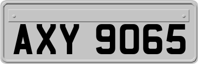 AXY9065