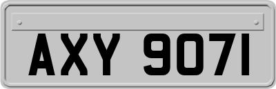 AXY9071