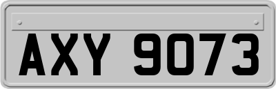 AXY9073