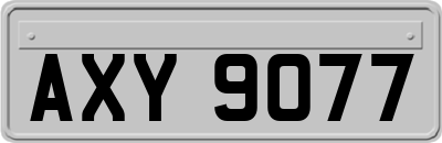 AXY9077