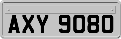 AXY9080