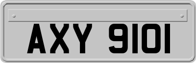 AXY9101