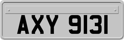 AXY9131