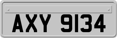 AXY9134