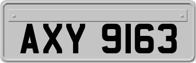 AXY9163