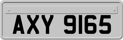 AXY9165