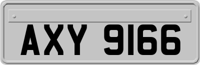 AXY9166