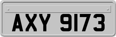 AXY9173