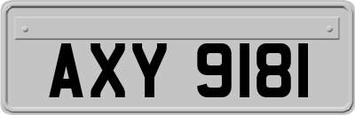 AXY9181