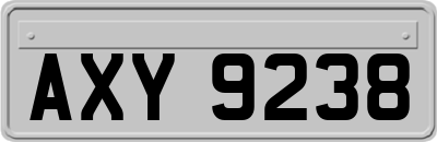 AXY9238