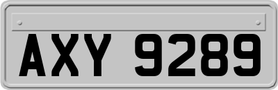 AXY9289