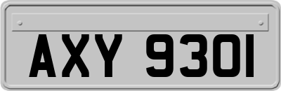 AXY9301