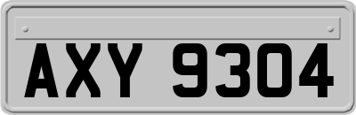 AXY9304