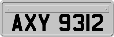 AXY9312