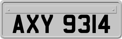 AXY9314