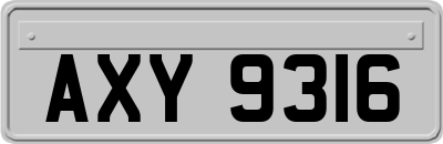 AXY9316