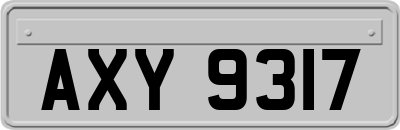 AXY9317