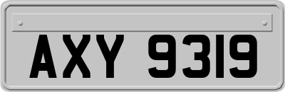 AXY9319