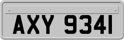 AXY9341
