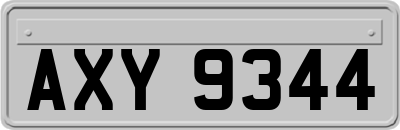 AXY9344
