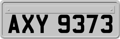 AXY9373