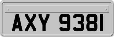 AXY9381