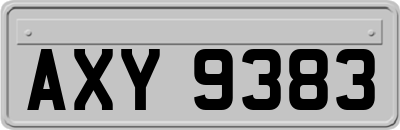 AXY9383