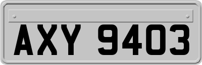 AXY9403