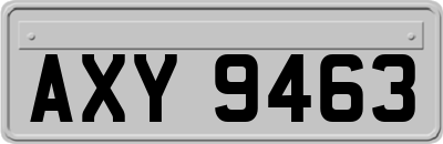 AXY9463
