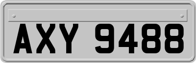 AXY9488