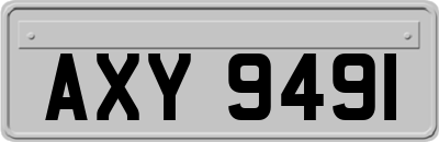AXY9491