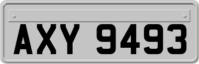 AXY9493