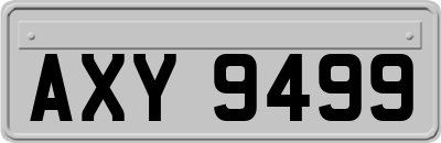 AXY9499