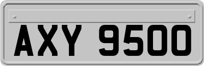 AXY9500