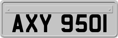 AXY9501