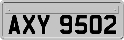 AXY9502
