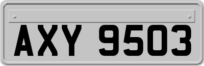 AXY9503