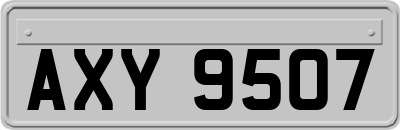 AXY9507