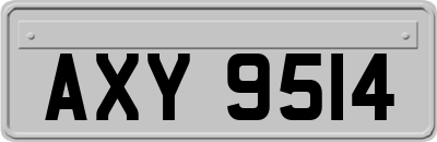 AXY9514