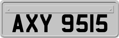AXY9515