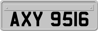 AXY9516