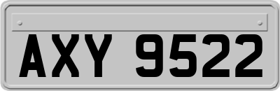 AXY9522