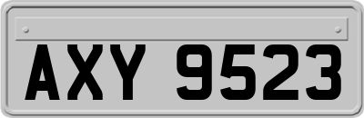 AXY9523