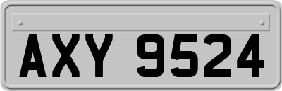 AXY9524