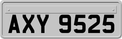 AXY9525