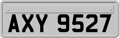 AXY9527