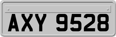 AXY9528