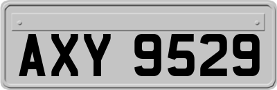 AXY9529