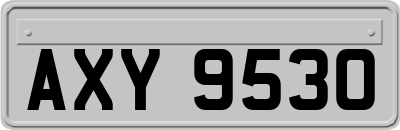 AXY9530